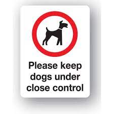 Control Dogs